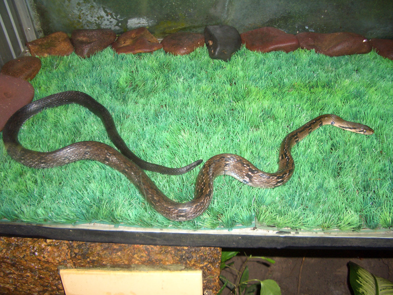 gal/07 - Sihanoukville/RIMG1990.jpg
